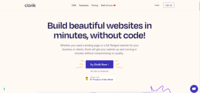 Screenshot of Create websites efficiently with no coding required.