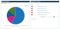 Screenshot of Pie chart listing top WCAG failures and data indicating performance by component.