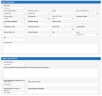 Screenshot of Incident Portal Form