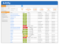 Screenshot of Amity provides a single, shared, customizable database for all of the accounts, subscriptions, and relationships you manage.