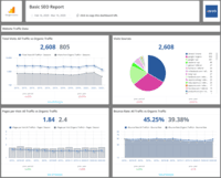 Screenshot of Basic SEO Report | 50+ more KPIs inside the template!