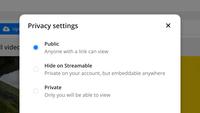 Screenshot of Video privacy settings (incl. password protection)