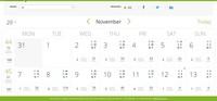 Screenshot of Social media marketing calendar monthly view