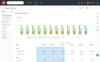 Screenshot of Customizable reporting for leadership teams, investors, and stakeholders