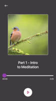 Screenshot of Mind Suite - Intro to Meditation