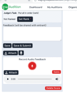 Screenshot of Judge's Feedback Auto-Delivered to Entrants