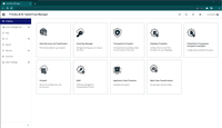 Screenshot of CipherTrust Manager Admin Console
