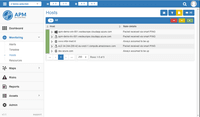Screenshot of Overview of objects (hosts) in APM