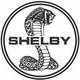 shelby payne | TrustRadius Reviewer