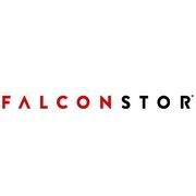 FalconStor StorSafe