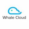 Whale Cloud Digital OSS