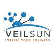 Veilsun Custom App Development Services