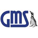 GMS Accounting and Financial Management Reporting System