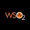 WSO2 Digital Assets Governance