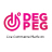 Degpeg Live Commerce Platform