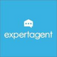 Expert Agent