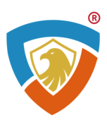 CyberSafeHaven Consulting