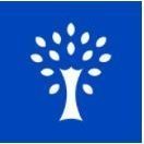 Vibtree Technologies