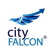 City Falcon Limited