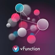 vFunction