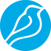 Bluebird International