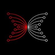 Input Output (IOHK)