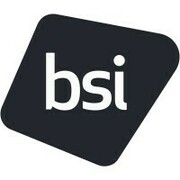 BSI (The British Standards Institution)