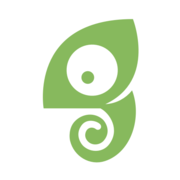 Chameleon Intelligent Tech Inc.