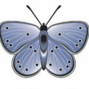 Psyche Systems Corporation