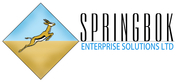 Springbok Solutions