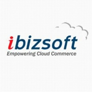 iBizSoft
