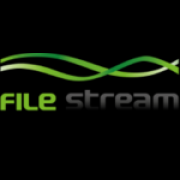File Stream