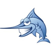 Application Performance