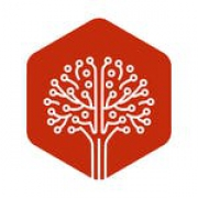 Treehouse Technology Group