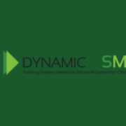 DynamicDSM