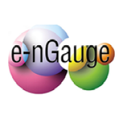 e-nGauge