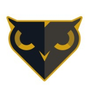 Black Owl Systems