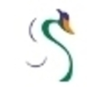 Netsoft Solutions