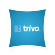 Trivo IT Solution