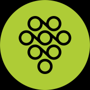 Viibrant