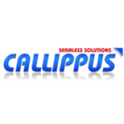 Callippus Solutions