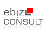 ebiz-consult