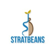 StratBeans Consulting