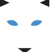 Foxfire Technologies