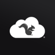 Codelizard Web Services