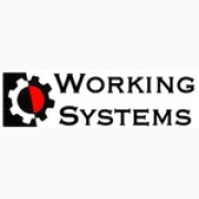 Working Systems