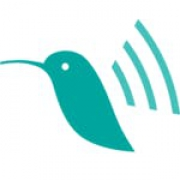 Littledata Consulting