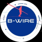 B-Wire Company