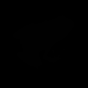 TRDATA