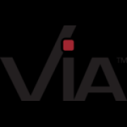 VIA Information Systems